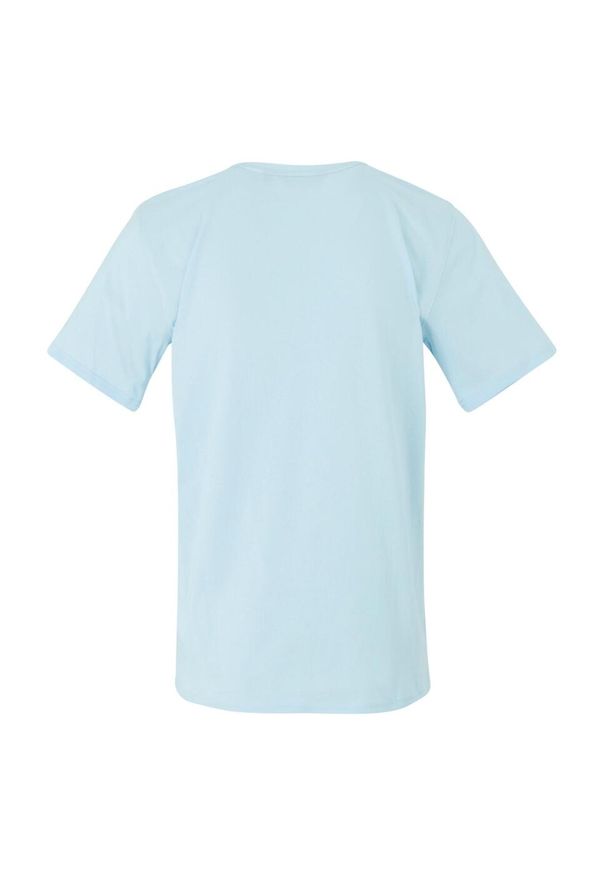 Regatta - T-shirt Męski Z Deską Surfingową Cline IX. Kolor: niebieski