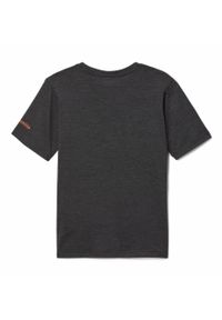 columbia - Koszulka Dziecięca Columbia Mount Echo Short Sleeve Graphic T-Shirt. Kolor: szary. Sport: turystyka piesza