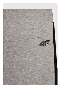 4f - 4F Spodnie dresowe HJL22-JSPMD002 Szary Regular Fit. Kolor: szary. Materiał: bawełna