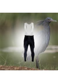 MADANI - Spodnie rowerowe unisex madani Black Heron. Kolor: biały, wielokolorowy, czarny