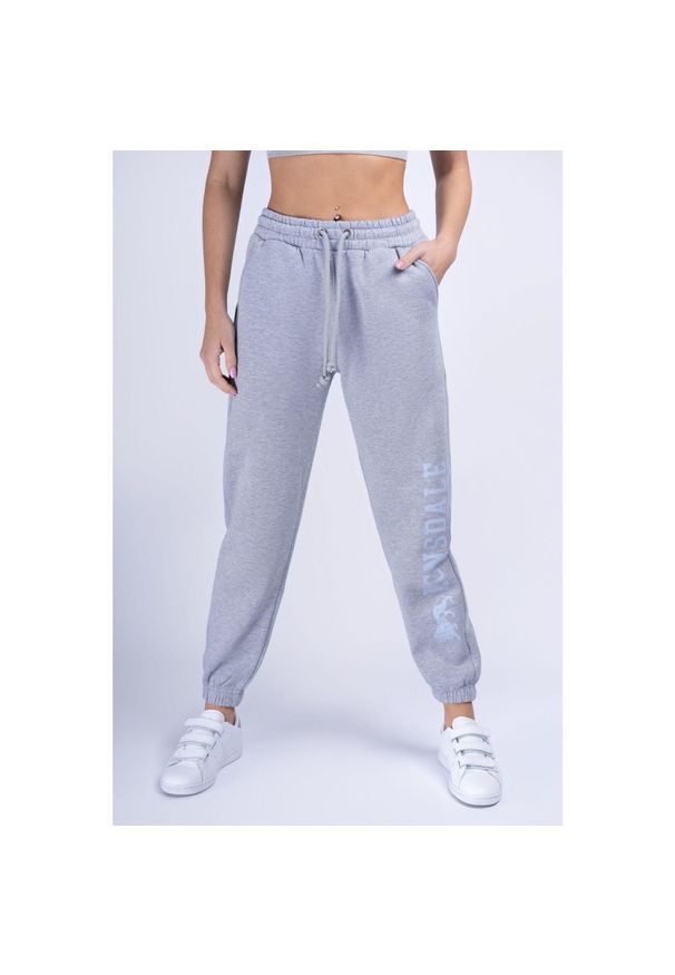 Damskie spodnie dresowe Lonsdale Pittentrail. Kolor: wielokolorowy, niebieski, szary. Materiał: dresówka