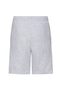 FRUIT OF THE LOOM - Lekkie Spodenki Męskie. Kolor: szary