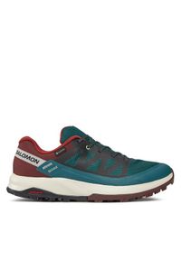 salomon - Salomon Trekkingi Outrise Gtx L47142100 Zielony. Kolor: zielony. Sport: turystyka piesza