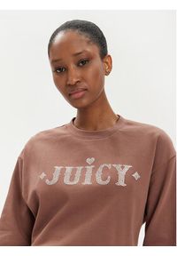 Juicy Couture Bluza Cristabelle Rodeo JCBAS223824 Brązowy Regular Fit. Kolor: brązowy. Materiał: bawełna