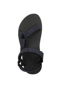 Buty do chodzenia męskie Teva Original Universal. Zapięcie: rzepy. Kolor: niebieski. Materiał: materiał, tkanina. Sport: turystyka piesza