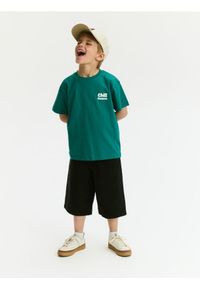 Reserved - Bawełniany t-shirt z nadrukiem - zielony. Kolor: zielony. Materiał: bawełna. Wzór: nadruk #1
