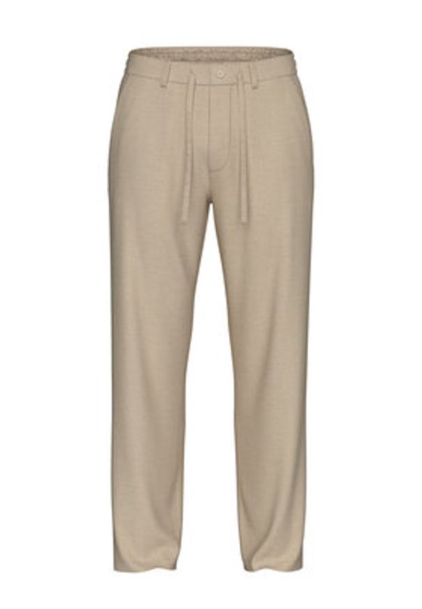 Selected Homme Chinosy 16096687 Beżowy Straight Fit. Kolor: beżowy. Materiał: bawełna