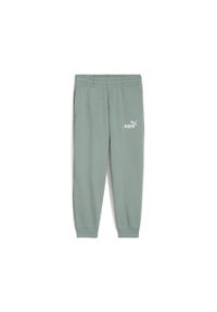 Dziecięcy strój do biegania Puma No. 1 PS. Kolor: zielony. Materiał: dresówka
