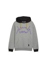 Bluza Puma Jaws Core. Kolor: szary. Sport: koszykówka #1