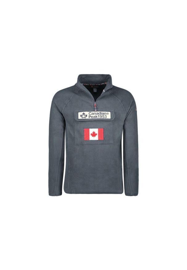 CANADIAN PEAK - Bluza turystyczna męska Canadian Peak Tymcleak. Kolor: szary