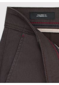 Pako Lorente - PAKO LORENTE - Brązowe spodnie chino z bawełną. Okazja: na co dzień. Kolor: brązowy. Materiał: bawełna. Styl: casual #3