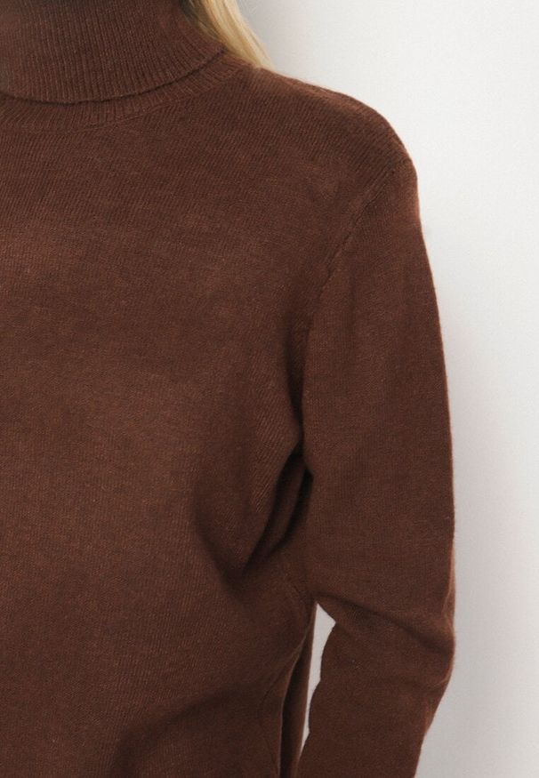 Born2be - Brązowy Casualowy Golf z Wełną o Prostym Kroju Reiselia. Okazja: na co dzień. Typ kołnierza: golf. Kolor: brązowy. Materiał: wełna. Styl: casual