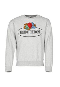 FRUIT OF THE LOOM - Męska Bluza Z Nadrukiem Logo W Stylu Vintage. Kolor: szary. Wzór: nadruk