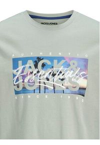 Jack & Jones T-Shirt Colton 12268438 Zielony Standard Fit. Kolor: zielony. Materiał: bawełna #8
