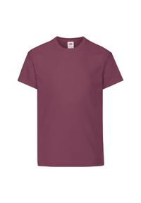 FRUIT OF THE LOOM - Oryginalna Koszulka Dla Dzieci. Kolor: czerwony, wielokolorowy, brązowy