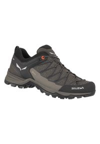 Buty Trekkingowe Męskie Salewa Mtn Trainer Lite Gtx. Kolor: wielokolorowy. Materiał: syntetyk, tkanina, materiał #1