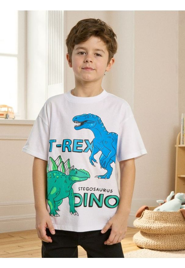 Sinsay - Koszulka oversize z nadrukiem w dinozaury - biały. Kolor: biały. Wzór: nadruk