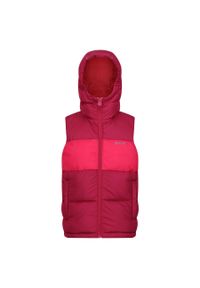 Gruba kamizelka dziecięca bez rękawów Regatta Lofthouse. Kolor: czerwony. Długość rękawa: bez rękawów. Sezon: zima. Styl: sportowy #1