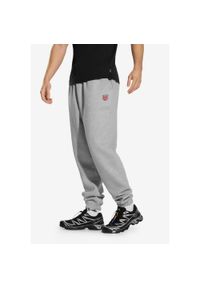 Spodnie dresowe męskie Prosto Shield. Kolor: szary. Materiał: dresówka #1