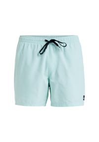 Quiksilver - Szorty kąpielowe dla Mężczyzn EVERYDAY SOLID VOLLEY 15" Zielony. Kolor: niebieski. Materiał: poliester, materiał. Styl: sportowy