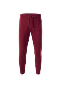 Męskie treningowe spodnie dresowe joggery Magnum Liben. Kolor: czerwony. Materiał: dresówka. Długość: długie #1