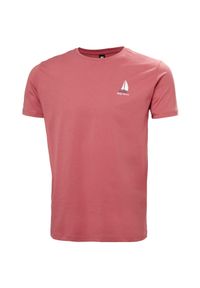 Koszulka Helly Hansen Shoreline 3.0. Kolor: czerwony. Materiał: bawełna #1