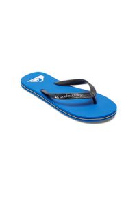 Quiksilver - Klapki dla Mężczyzn MOLOKAI CORE. Okazja: na plażę. Kolor: niebieski. Materiał: guma, syntetyk. Wzór: paski. Styl: sportowy