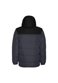 ROLY - Kurtka Dziecięca Tallin Insulated Jacket. Kolor: brązowy, czarny, wielokolorowy