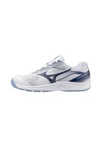 Buty halowe męskie Mizuno Cyclone Speed 5. Kolor: biały, wielokolorowy, niebieski