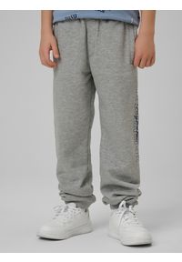4f - 4F Spodnie dresowe joggery chłopięce - szare 158 (12-13 lat). Okazja: na co dzień. Kolor: szary. Materiał: dresówka. Sezon: lato. Styl: casual #2