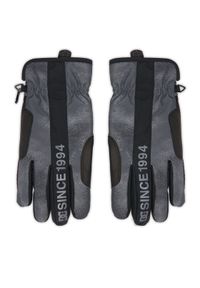 DC Shoes Rękawice narciarskie Salute ADYHN03034 Szary. Kolor: szary. Materiał: poliester. Sport: narciarstwo #1