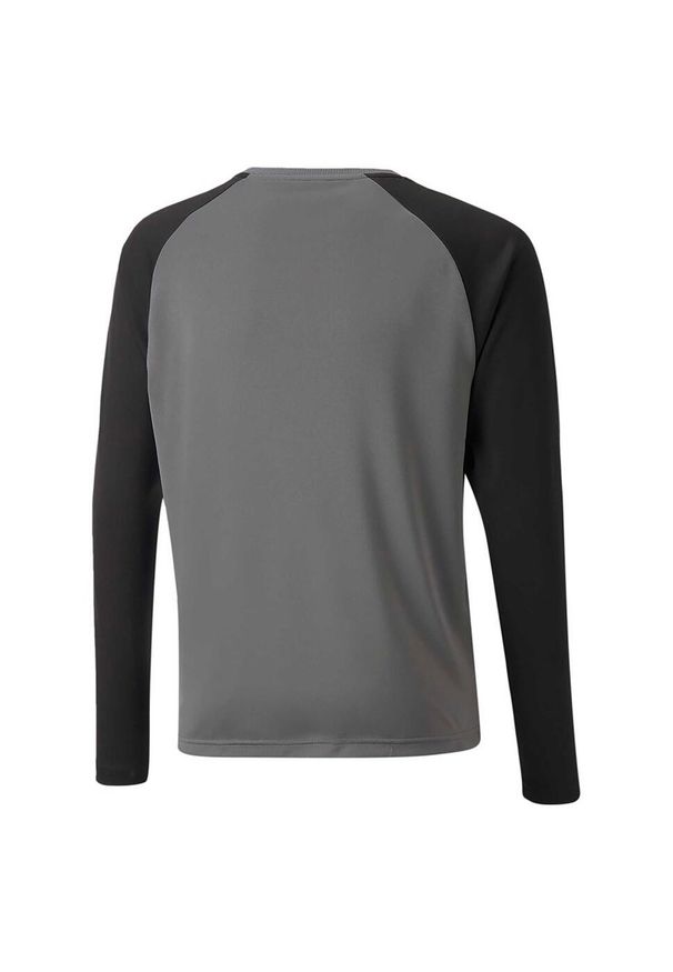 T-Shirt Puma Teampacer Gk Ls Jersey Jr Dzieci. Kolor: wielokolorowy, czarny, szary. Materiał: poliester