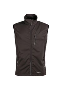 PRO-X ELEMENTS - Kurtka bez rękawów Pro-X Elements Mateo. Kolor: szary, wielokolorowy, brązowy. Materiał: softshell. Długość rękawa: bez rękawów. Sport: turystyka piesza #1