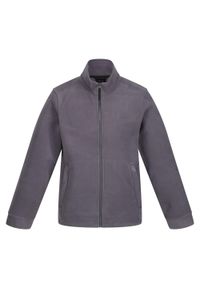 Regatta - Bluza Polarowa Męska Classic. Kolor: szary. Materiał: polar. Sezon: zima. Styl: sportowy. Sport: turystyka piesza #1