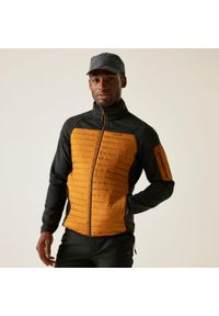 Regatta - Kurtka męska hybrydowa Ceden. Kolor: pomarańczowy. Materiał: polar, puch. Sport: turystyka piesza #1