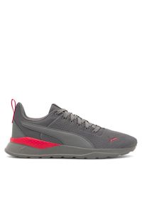 Sneakersy Puma. Kolor: szary