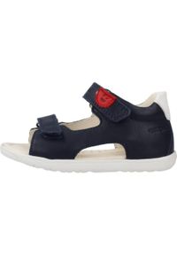 Sandały Geox Model B Sandal Macchia Boy Kolor Niebieski. Kolor: niebieski. Materiał: skóra. Sezon: lato