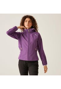 Regatta - Bourde damski softshell. Kolor: fioletowy. Materiał: softshell. Sport: turystyka piesza