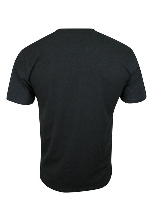Pako Jeans - T-shirt Grafitowy, 100% BAWEŁNA, U-neck, bez Nadruku, Męski, Krótki Rękaw -PAKO JEANS. Okazja: na co dzień. Kolor: szary. Materiał: bawełna. Długość rękawa: krótki rękaw. Długość: krótkie. Styl: casual
