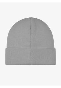 MAJESTY - Czapka zimowa Majesty Beanie Ski Fast - grey. Kolor: szary. Sezon: zima