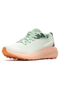 Merrell - Buty do biegania w terenie Morphlite Rozmiar 40 - J068140 Zielony. Kolor: zielony