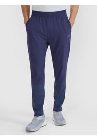 4f - 4F Spodnie do biegania w terenie szybkoschnące męskie - szare XL. Kolor: szary. Materiał: dzianina, elastan, włókno, syntetyk, materiał. Długość: krótkie. Wzór: jednolity, ze splotem. Sport: fitness, bieganie #2