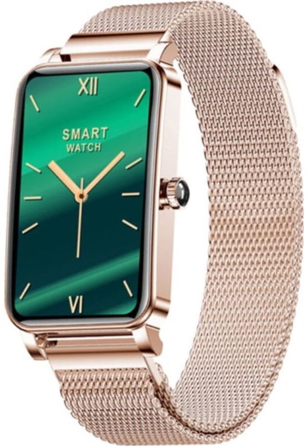 ZAXER - Smartwatch Zaxer ZX19 Złoty (0314029891236). Rodzaj zegarka: smartwatch. Kolor: złoty