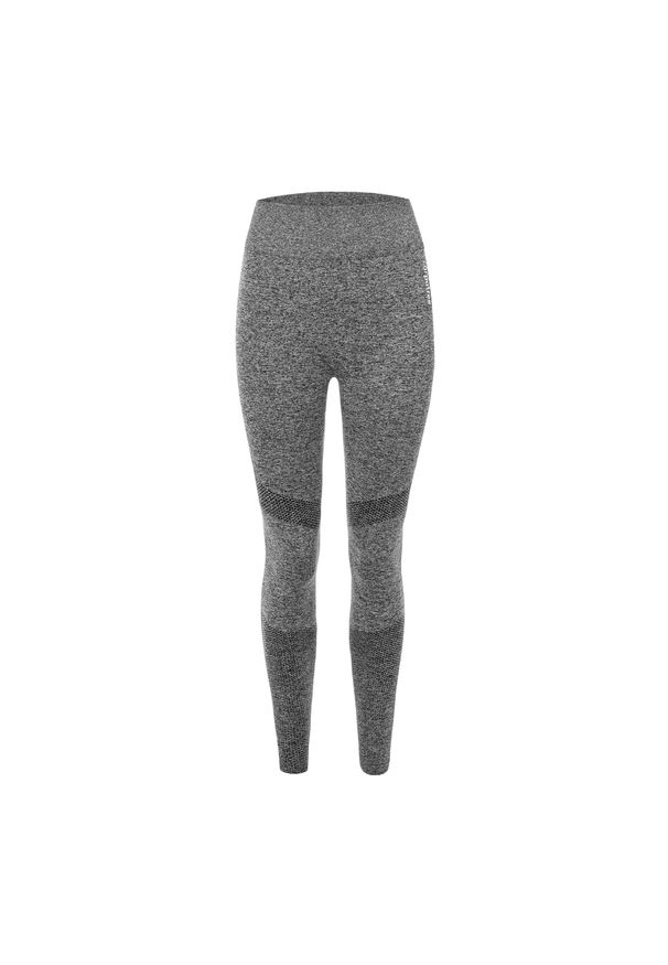 Legginsy treningowe damskie Carpatree Vibe Seamless. Kolor: szary. Sport: fitness