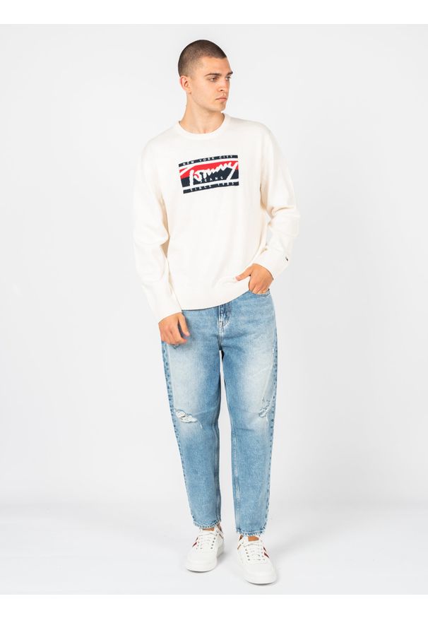 TOMMY HILFIGER - Tommy Jeans Sweter | DM0DM13045 | Mężczyzna | Biały. Okazja: na co dzień. Kolor: biały. Materiał: poliester, akryl. Wzór: ze splotem. Styl: casual
