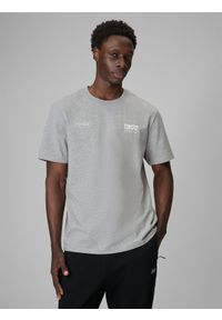 4f - 4F T-shirt regular z nadrukiem męski - szary XL. Okazja: na co dzień. Kolor: szary. Materiał: dzianina, bawełna, materiał. Długość: długie. Wzór: nadruk. Styl: casual #1