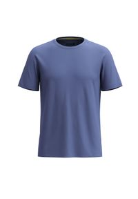 Koszulka Smartwool Active. Kolor: niebieski. Sport: turystyka piesza #1