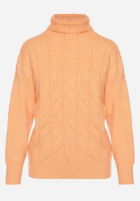 Born2be - Pomarańczowy Klasyczny Golf Ozdobiony Tłoczeniem Dainaria. Okazja: na co dzień. Typ kołnierza: golf. Kolor: pomarańczowy. Materiał: jeans. Długość rękawa: długi rękaw. Długość: długie. Wzór: aplikacja. Styl: klasyczny #6