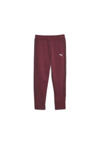 Puma Spodnie Evostripe Hw 67607522. Kolor: czerwony, biały, wielokolorowy. Sport: fitness