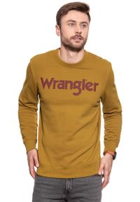 Wrangler - WRANGLER BLUZA LOGO CREW GOLDEN BROWN W6585I7VQ 112130605 #6